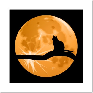 The Cat And The Moon Posters and Art